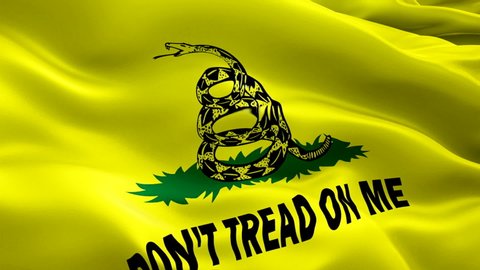 31 Dont Tread On Me Stock Video Footage - 4K and HD Video Clips |  Shutterstock