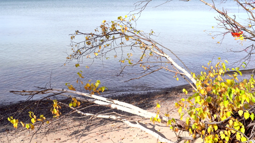Waves lap up on Lake Superior in the Porcupine Mountains Wilderness during the fall