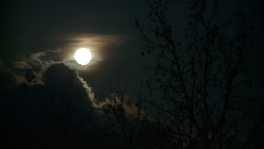 Moon at Night
