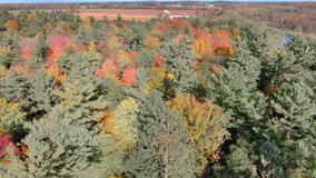 Sun and cloud shadows sweeping across windy forest treetops, breathtaking Autumn colors, Fall splendor, drone aerial flyover.