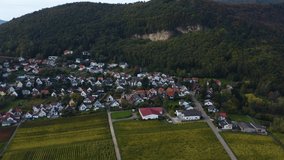 Aerial view of vineyards, houses and village in the Pfalz in Germany. On a sunny day in Autumn, fall. Pan to the left beside Albersweiler
