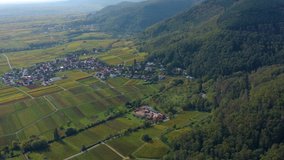 Aerial view of vineyards, houses and village in the Pfalz in Germany. On a sunny day in Autumn, fall. Pan to the left beside Weyher in der Pfalz
