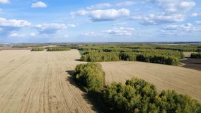 Aerial view on wheat field at sunny day on the background of rural countryside. Harvesting grain field