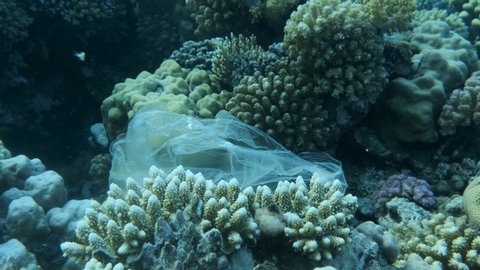 Plastic pollution in ocean. Plastic bag drifting on the beautiful coral reef, clings to him is picked up by the wave and floats further. Plastic debris on colorful tropical reef. 4K/50fps