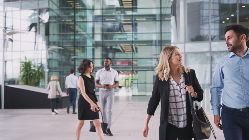 Businessman And Businesswoman Walking Through Lobby Of Busy Modern Office Royalty-Free Stock Footage #1039965128