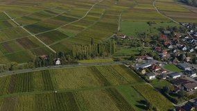 Aerial view of vineyards, houses and village in the Pfalz in Germany. On a sunny day in Autumn, fall. Pan to the right to Klingenmünster