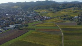 Aerial view of vineyards, houses and village in the Pfalz in Germany. On a sunny day in Autumn, fall. Pan to the right from Bad Bergzabern to Pleisweiler-Oberhofen