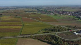 Aerial view of vineyards, houses and village in the Pfalz in Germany. On a sunny day in Autumn, fall. Pan to the right from grape fields to  Bad Bergzabern
