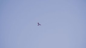 high in blue sky flying hang glider