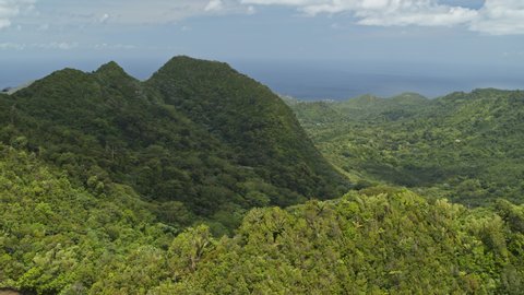 Aerial view of scenic tropical mountain forest under clouds / Grand Etang National Park, Grenada
