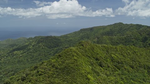 Aerial panning shot of scenic tropical mountain forest / Grand Etang National Park, Grenada
