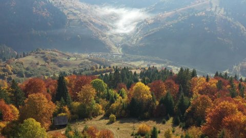 Dawn in the Carpathian mountains in the fall. All trees are colorful. Ukrainian nature: stockvideo