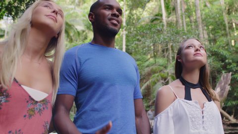 Pan past jungle revealing three young beautiful friends hikers standing in forest in awe of it's beauty with lush trees in the background. Medium close shot on 4k RED camera.