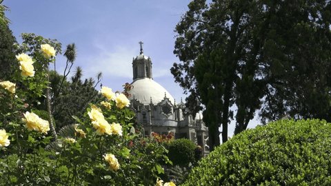 dome of the tall church of madonna of guadalupe, in the foreground yellow roses of a garden