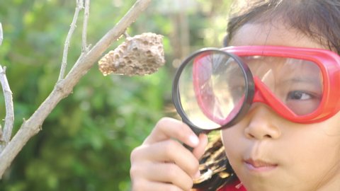 Asian little girl examining wasp's nest through a magnifying glass. Concept of self learning trips lifestyle in springtime.