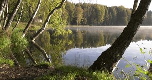 Summer morning sunrise of pristine lush green forest surrounded lake, lone fishermen, calm waters reflecting clouds. - Powered by Shutterstock - Get 15% off with code: PIKWIZARD15