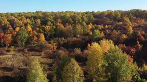 Aerial View Of Autumn Trees Stock Footage Video 100 Royalty Free Shutterstock