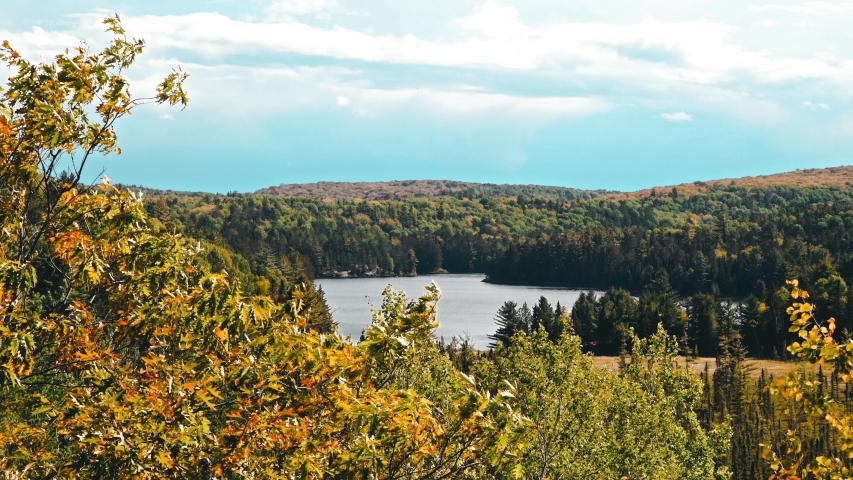 View over a lake in Algonquin Park in Canada