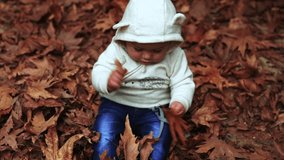 Cute little boy sitting on the ground in autumnal park and with pleasure playing with dry maple leaves, slow motion. Full HD Video 1920x1080