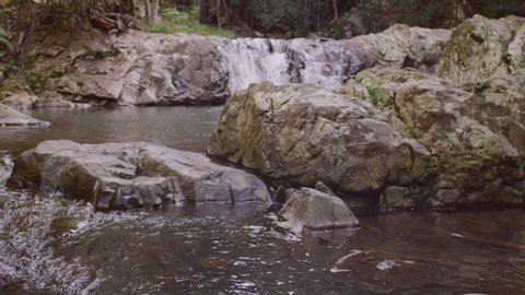 Pan across beautiful lush forest and waterfalls in Australia past boudlers and rocks. Wide shot on 4k RED camera.