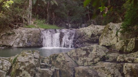 Pan past branch revealing beautiful lush forest and waterfalls in Australia. Wide shot on 4k RED camera.