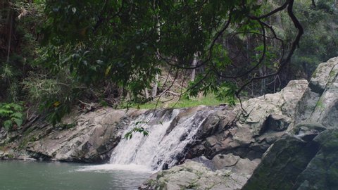 Tree branch in foreground revealing beautiful waterfalls surrounded by lush forest in Australia. Wide shot on 4k RED camera.