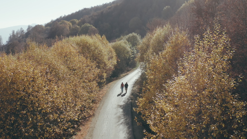 Hikers walking on a mountain road at sunrise. Aerial crane shot of young man and woman trekkers walking through a forest.