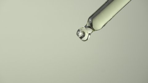 Close up of liquid oil drop from lab pipette on white background. Closeup of lavender extract droplets are falling from glass pipette.
