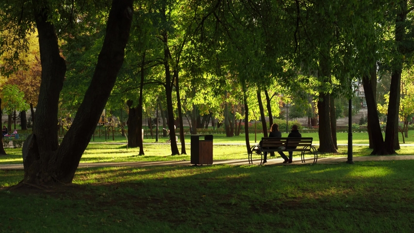 Autumn park on a sunny day. Two people sitting on a park bench.