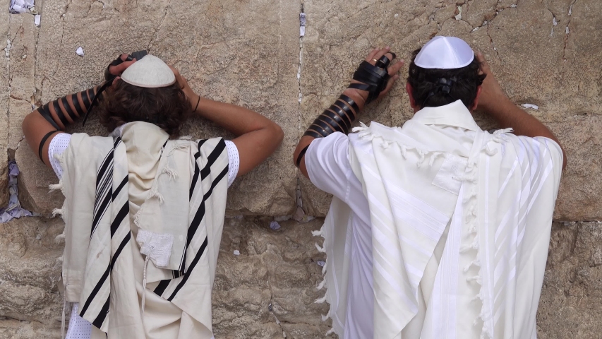 Western Wall. Jewish praying in the wall with tallit and tefillin Royalty-Free Stock Footage #1040093546