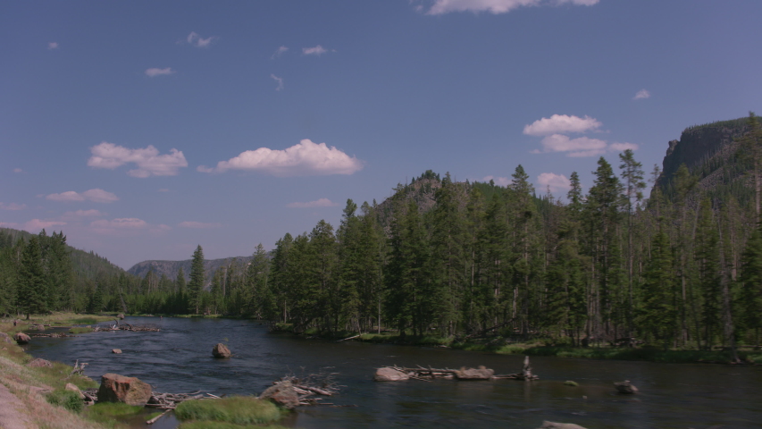Madison River in Yellowstone National Park