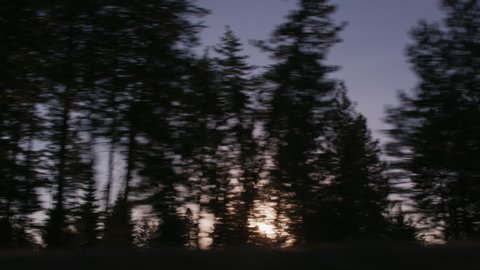 Driving by trees with sun setting