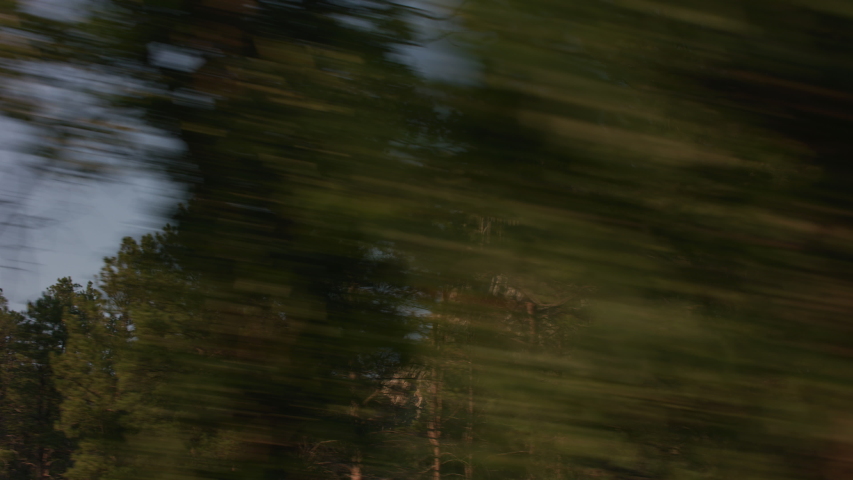 Devils Tower, Wyoming. Wide Angle.