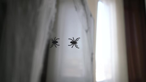 Toy spiders hanging on a spider web in a room close-up.
