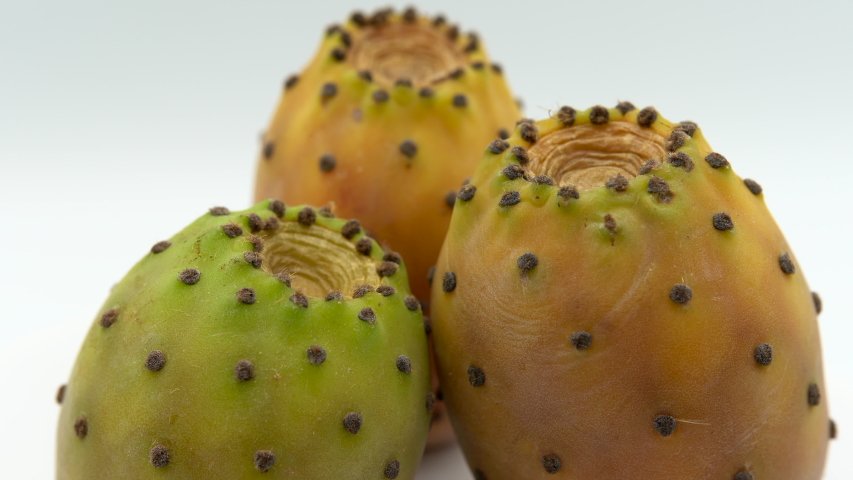 Colored prickly pears rotating, fresh ripe exotic fruit with dangerous spines
