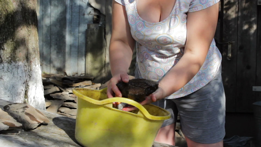 attractive woman washes stone,rural sexy woman running in yard, washing stone in bowl