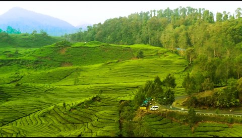 Aerial Video Of  Rancabali Tea Plantation in Ciwidey, Bandung, Indonesia