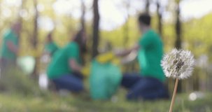 Garbage collection concept: a group of young people in green T-shirts clean the spring park and collect accumulated plastic garbage, blurred video, place for text.