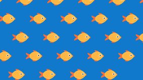 gold fish background animation.isolated on blue background.4K motion animation. can be used for explainer video. 