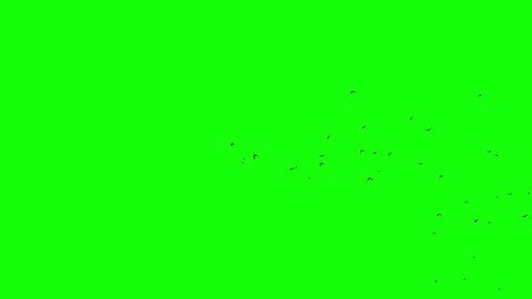 Rock Debris Greenscreen Rocks Explode Stone : vidéo de stock (100 % ...