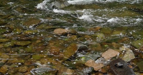 Water flows over stones at Wisshaickon Creek