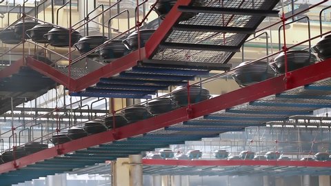 Conveyor with tires at factory. Tires production. Large car tire factory. Air conveyor transfers tire from one operation to others above processing work shop. Manufacture of automobile tyres.