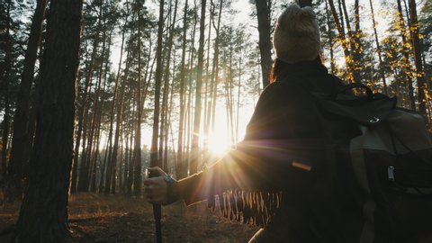 A girl with trekking poles stands in the middle of a pine autumn forest, looks around, enjoys nature, the sun and the sun's rays in the background. The camera moves to the girl in slow motion