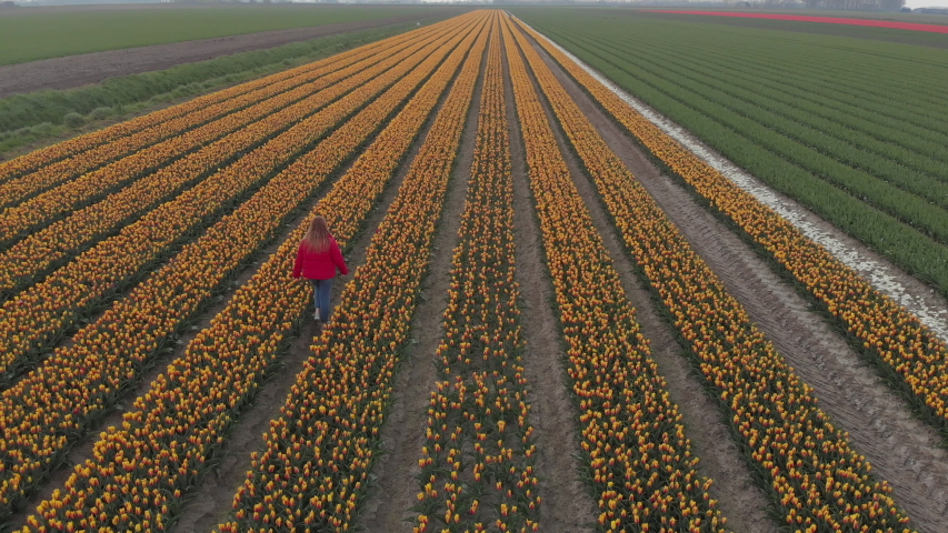 Young caucasian teenage girl in red jacket walking in beautiful yellow tulip flowers field