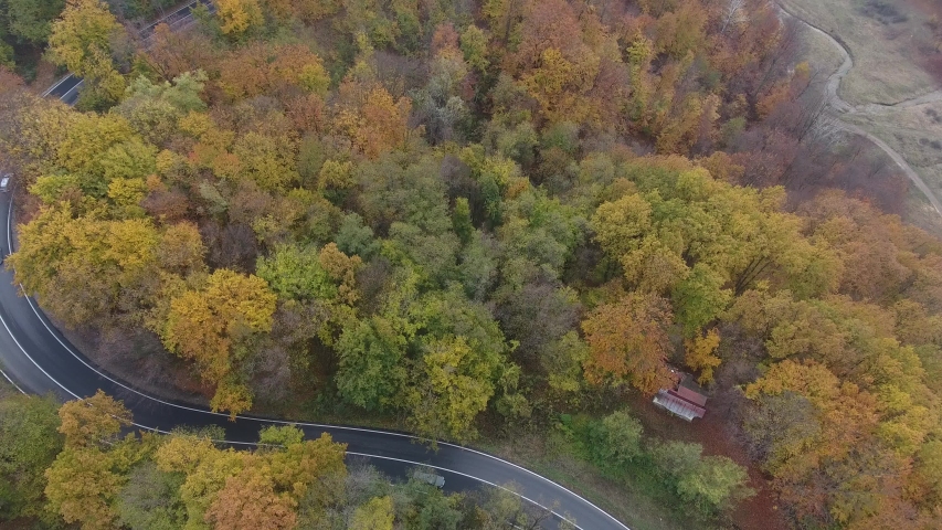 Aerial view of road from forest, autumn season, beautiful colorful landscape