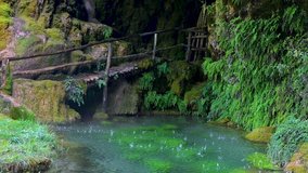 Falling water gorge and ancient bridge. Plants and a lake in the mountains. Beauty in nature
