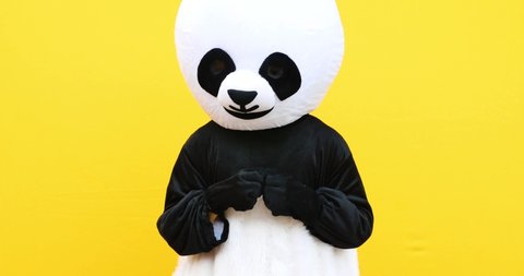 Person with panda costume dancing dab dance. Mascot character lifestyle concept on colored background
