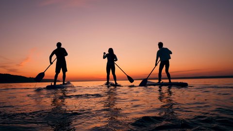 Sports people paddleboarding on sunset background.
