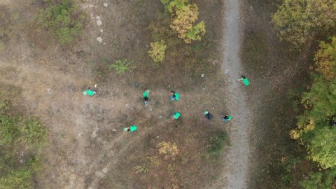 Aerial shot of responsible multi-ethnic ecology activists in green shirts and gloves picking up plastic trash in autumn forest. Drone footage of diverse people collecting waste in garbage bags outdoor