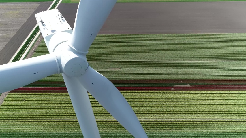 Aerial close up view of wind turbine is a device that converts the wind's kinetic energy into electrical providing homes with sustainable renewable electricity located at colorful tulip field 4k Royalty-Free Stock Footage #1040314325